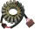 Stator RICK'S MOTORSPORT ELECTRIC 21-0097