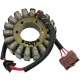 Stator RICK'S MOTORSPORT ELECTRIC 21-0097