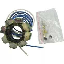 Stator RICK'S MOTORSPORT ELECTRIC 21-636