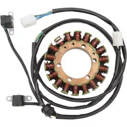 Stator RICK'S MOTORSPORT ELECTRIC 21-337