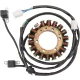 Stator RICK'S MOTORSPORT ELECTRIC 21-337