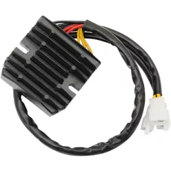 Stator RICK'S MOTORSPORT ELECTRIC 10-118H