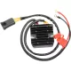 Stator RICK'S MOTORSPORT ELECTRIC 10-564H