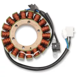 Stator Artic RICK'S MOTORSPORT ELECTRIC 21-062