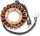 Stator Artic RICK'S MOTORSPORT ELECTRIC 21-062