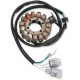 Stator RICK'S MOTORSPORT ELECTRIC 21-725