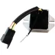 Regulator Rec Ski Doo RICK'S MOTORSPORT ELECTRIC 10-S111