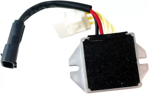 Regulator Rec Artic RICK'S MOTORSPORT ELECTRIC 10-S114