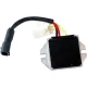 Regulator Rec Artic RICK'S MOTORSPORT ELECTRIC 10-S114