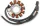 Stator Artic RICK'S MOTORSPORT ELECTRIC 24-011