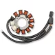 Stator Artic RICK'S MOTORSPORT ELECTRIC 24-011