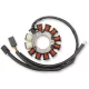 Stator Artic RICK'S MOTORSPORT ELECTRIC 24-012