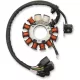 Stator RICK'S MOTORSPORT ELECTRIC 24-501