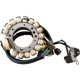 Stator Yfp350 RICK'S MOTORSPORT ELECTRIC 21-933