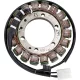 Stator Ej W650 RICK'S MOTORSPORT ELECTRIC 21-244