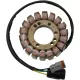 Stator Ski Doo RICK'S MOTORSPORT ELECTRIC 24-105