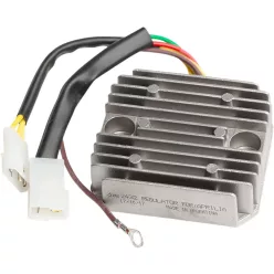 Stator RICK'S MOTORSPORT ELECTRIC 10-028
