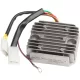 Stator RICK'S MOTORSPORT ELECTRIC 10-028