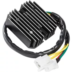 Stator RICK'S MOTORSPORT ELECTRIC 10-139