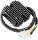 Stator RICK'S MOTORSPORT ELECTRIC 10-139