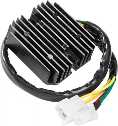 Stator RICK'S MOTORSPORT ELECTRIC 10-139
