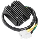 Stator RICK'S MOTORSPORT ELECTRIC 10-139