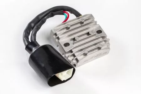 Stator RICK'S MOTORSPORT ELECTRIC 10-160