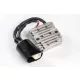 Stator RICK'S MOTORSPORT ELECTRIC 10-160