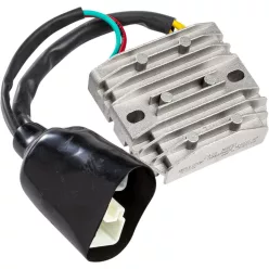 Stator RICK'S MOTORSPORT ELECTRIC 10-162
