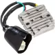 Stator RICK'S MOTORSPORT ELECTRIC 10-162