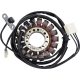 Stator Triumph 21-029