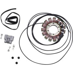 Stator RICK'S MOTORSPORT ELECTRIC 21-033