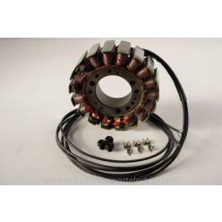 Stator RICK'S MOTORSPORT ELECTRIC 21-065