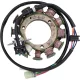 Stator RICK'S MOTORSPORT ELECTRIC 21-648