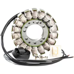   Stator Oe Style 24 009 RICK'S MOTORSPORT ELECTRIC 24-009