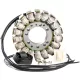 Stator Oe Style 24 009 RICK'S MOTORSPORT ELECTRIC 24-009