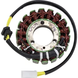 Stator Mv 21 034 RICK'S MOTORSPORT ELECTRIC 21-034