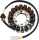 Stator Mv 21 034 RICK'S MOTORSPORT ELECTRIC 21-034