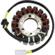 Stator Mv 21 034 RICK'S MOTORSPORT ELECTRIC 21-034
