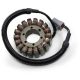 Stator Ski Doo 24-109