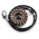 Stator RICK'S MOTORSPORT ELECTRIC 24-400