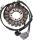 Stator RICK'S MOTORSPORT ELECTRIC 21-036