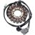 STATOR TRIUMPH 21-036