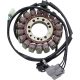 Stator Triumph 21-036