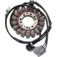 Stator RICK'S MOTORSPORT ELECTRIC 21-036