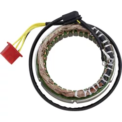Stator 21 152 RICK'S MOTORSPORT ELECTRIC 21-152