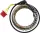 Stator 21 152 RICK'S MOTORSPORT ELECTRIC 21-152