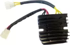 Stator RICK'S MOTORSPORT ELECTRIC 14-007H