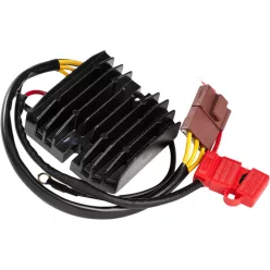 Stator RICK'S MOTORSPORT ELECTRIC 14-013H