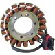 Stator RICK'S MOTORSPORT ELECTRIC 21-569